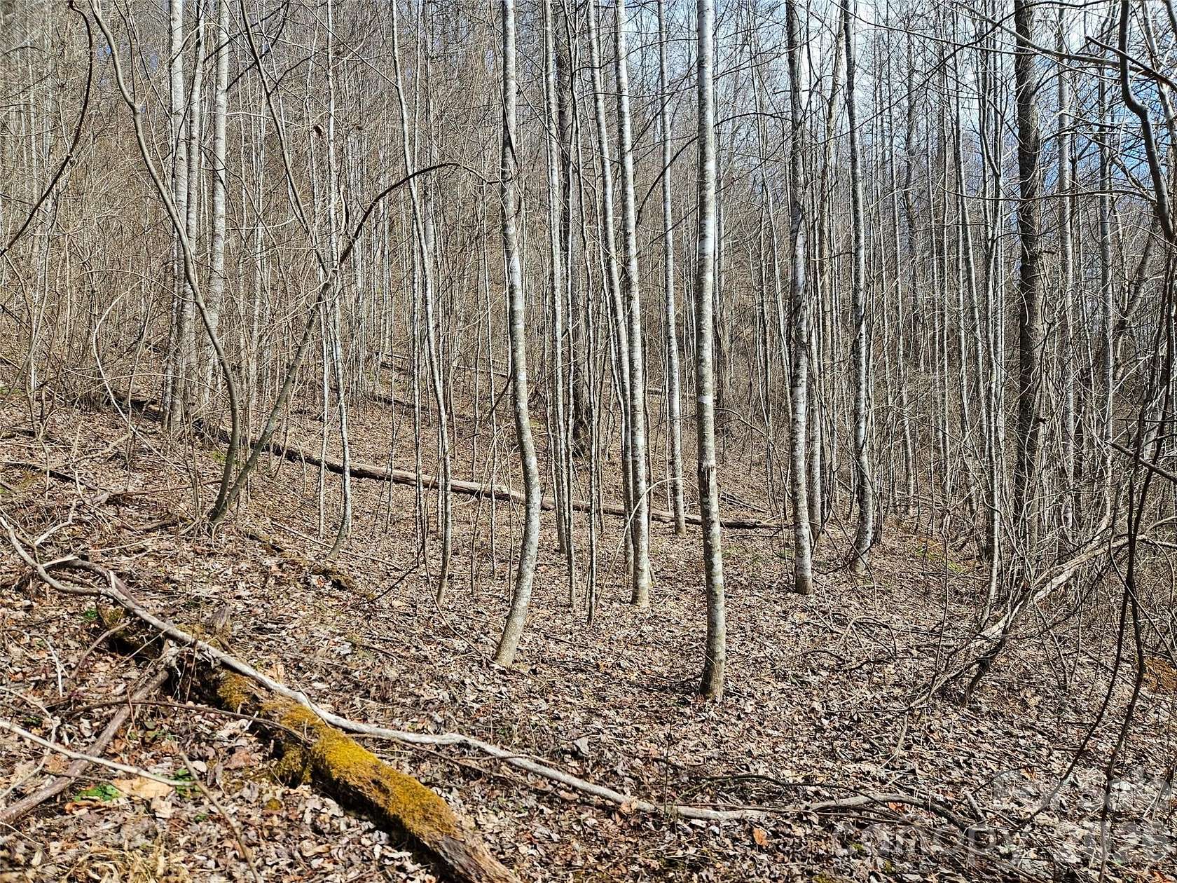 3.41 Acres of Land for Sale in Sylva, North Carolina