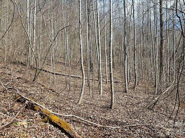 3.41 Acres of Land for Sale in Sylva, North Carolina