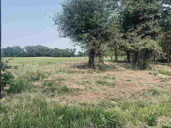 1.1 Acres of Residential Land for Sale in Alba, Texas