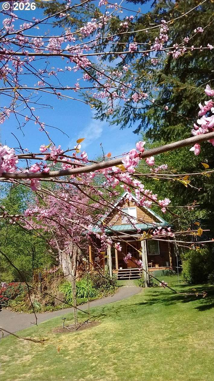 46 Acres of Recreational Land with Home for Sale in Amboy, Washington