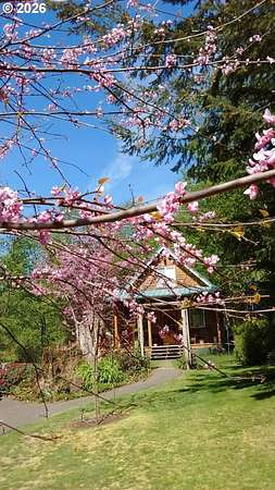 46 Acres of Recreational Land with Home for Sale in Amboy, Washington