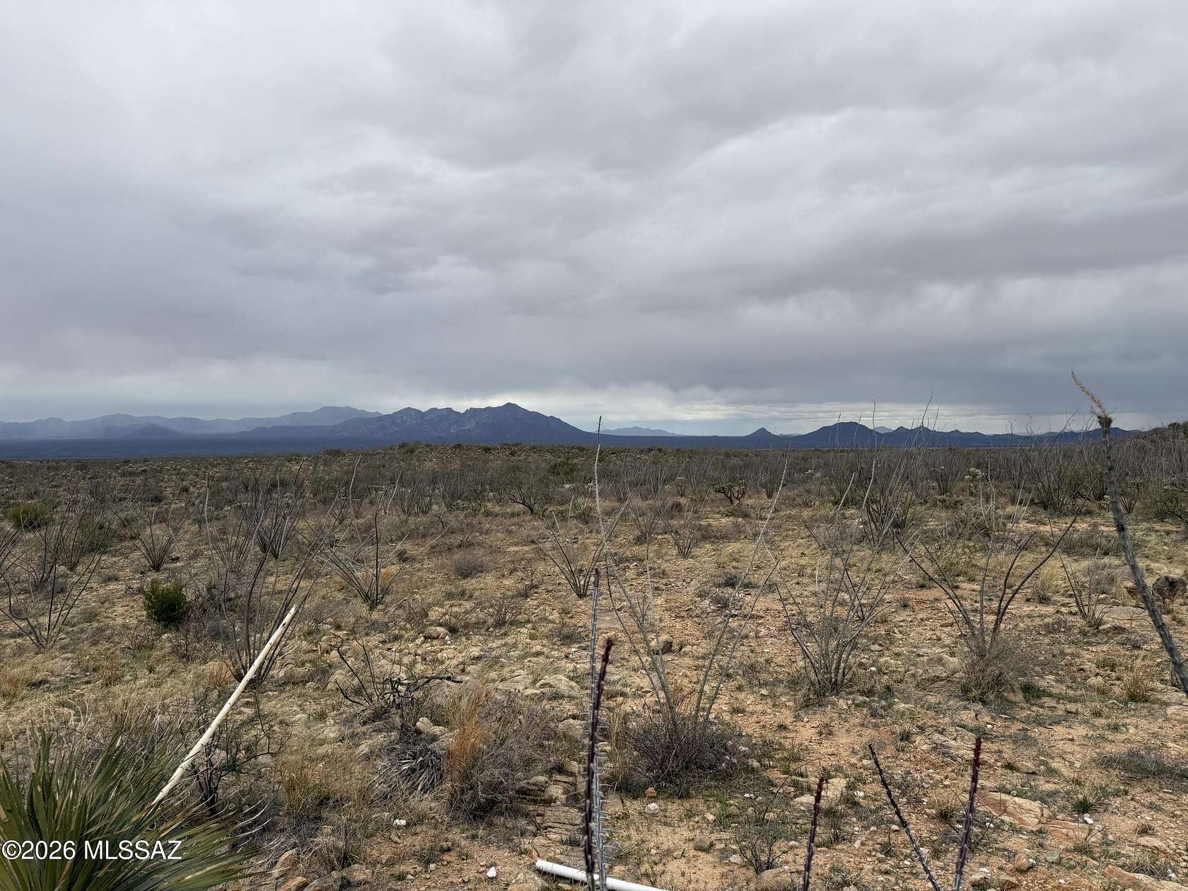 30.5 Acres of Recreational Land for Sale in Tucson, Arizona