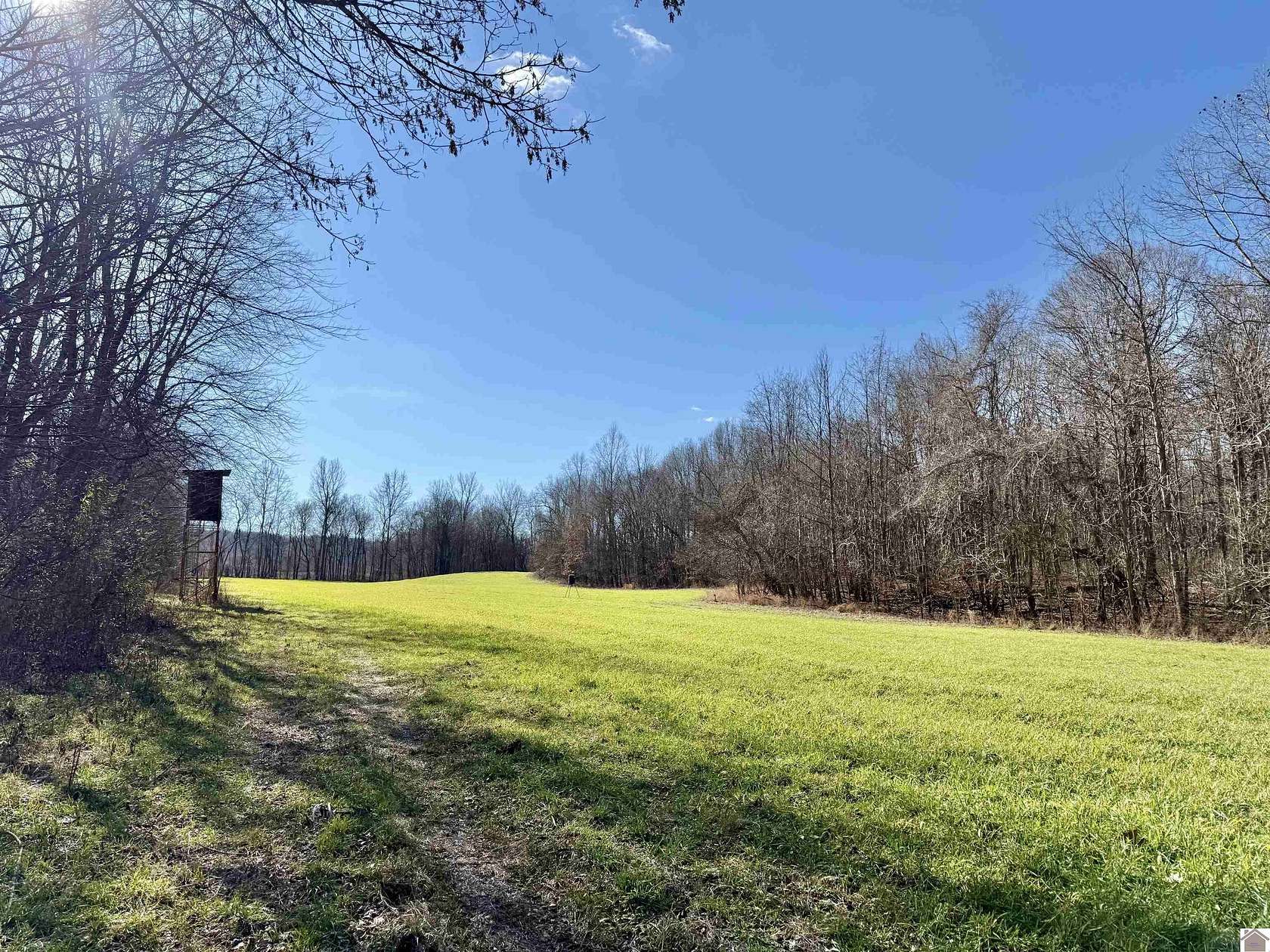 122 Acres of Recreational Land & Farm for Sale in Smithland, Kentucky