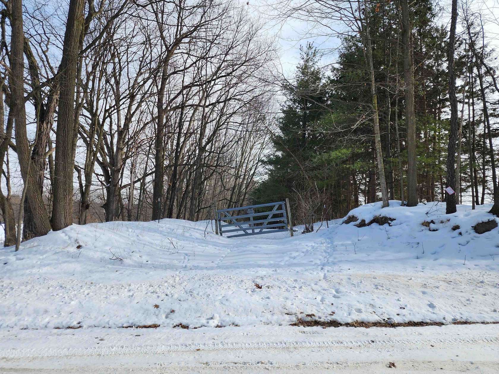 33 Acres of Recreational Land for Sale in Fenwick, Michigan