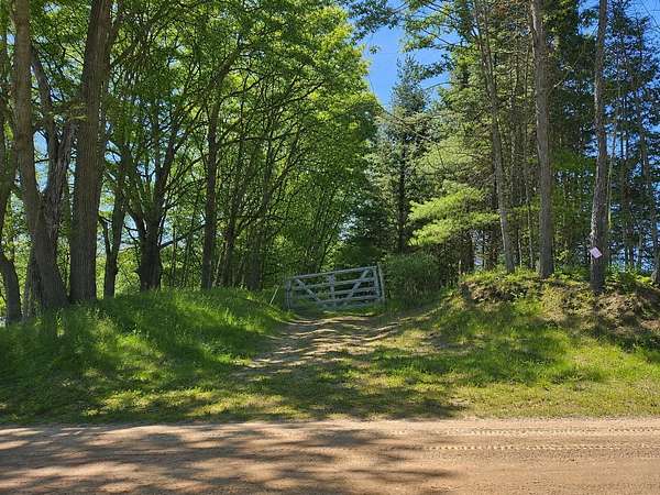 33 Acres of Recreational & Residential Land for Sale in Fenwick, Michigan