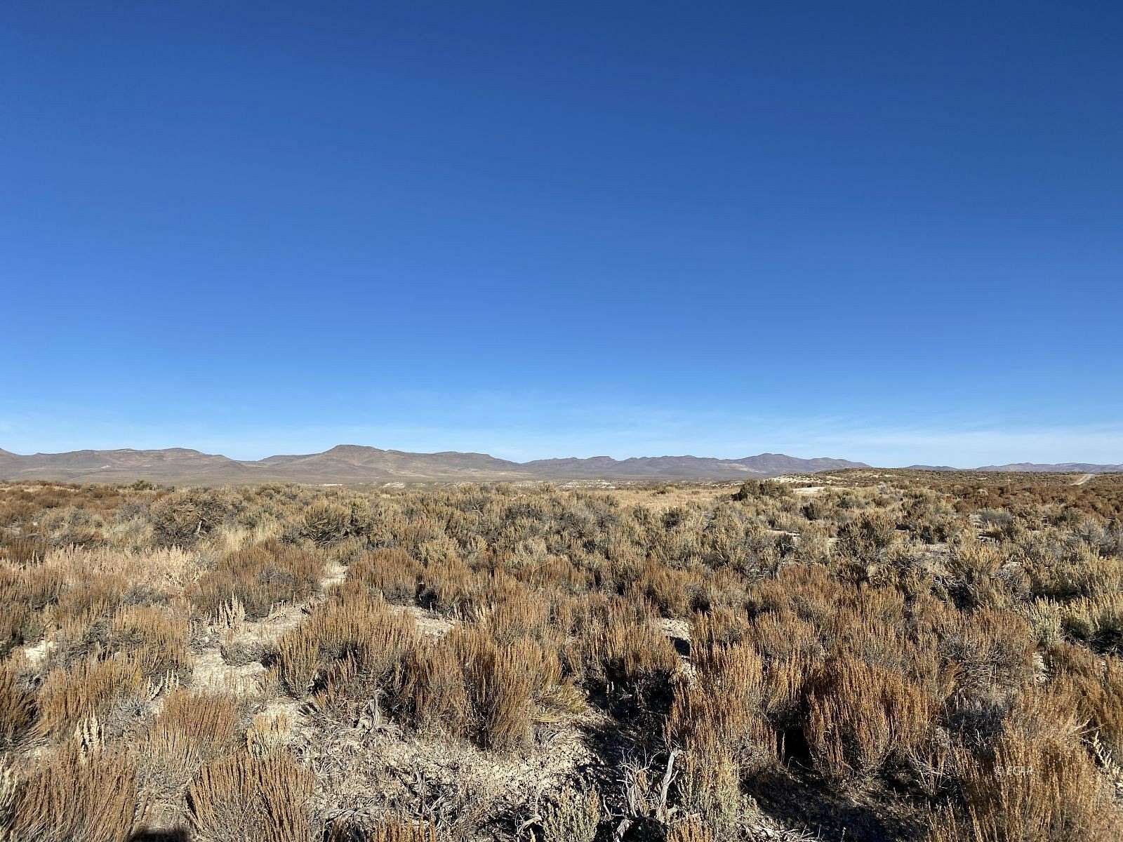 4.54 Acres of Land for Sale in Ryndon, Nevada