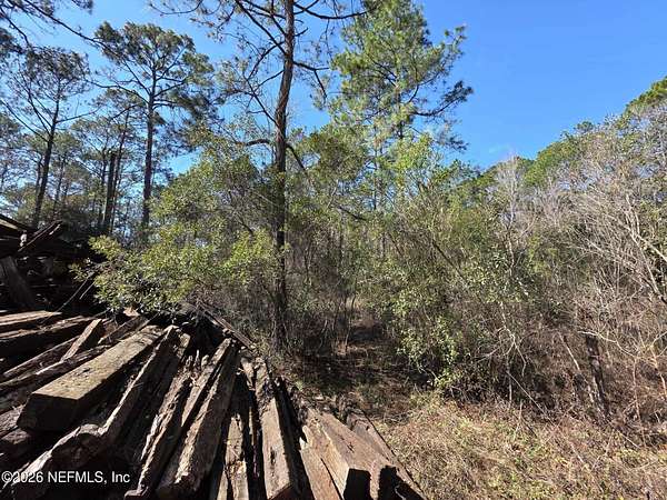 2 Acres of Land for Sale in Jacksonville, Florida