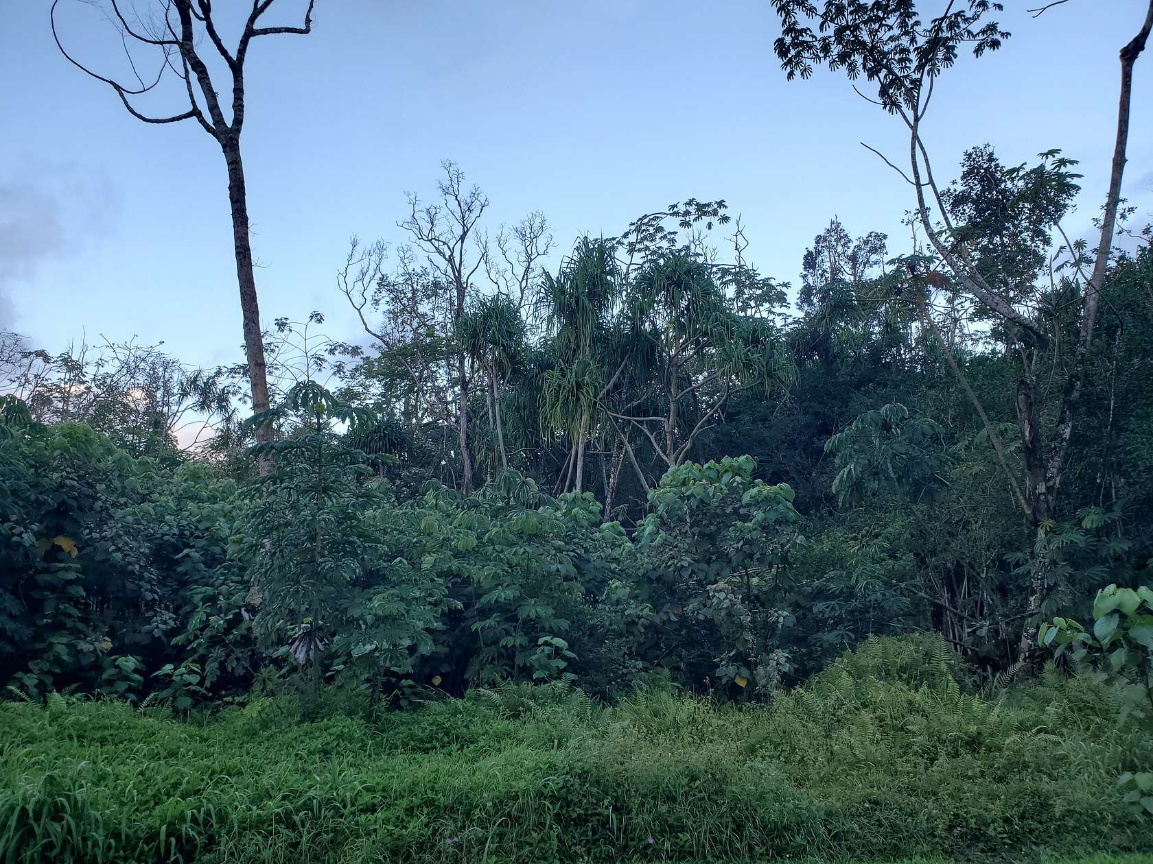 0.28 Acres of Land for Sale in Pahoa, Hawaii