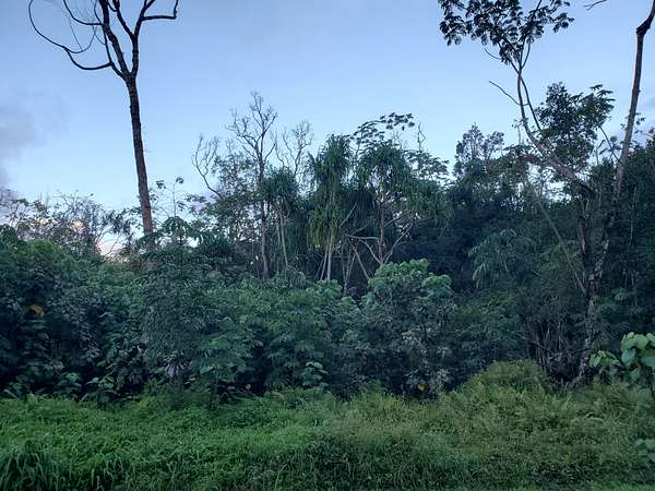 0.28 Acres of Land for Sale in Pahoa, Hawaii