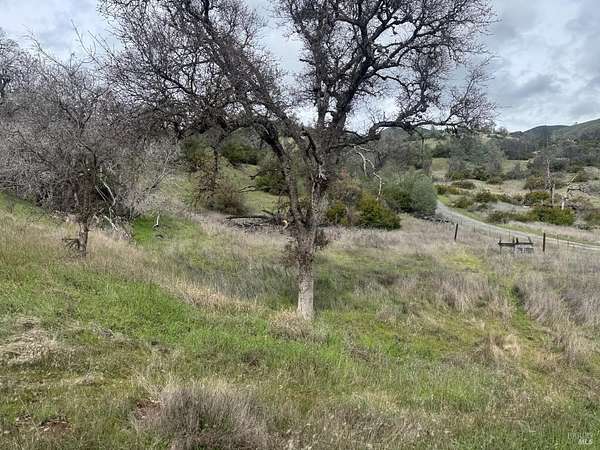 19.7 Acres of Land for Sale in Clearlake Oaks, California