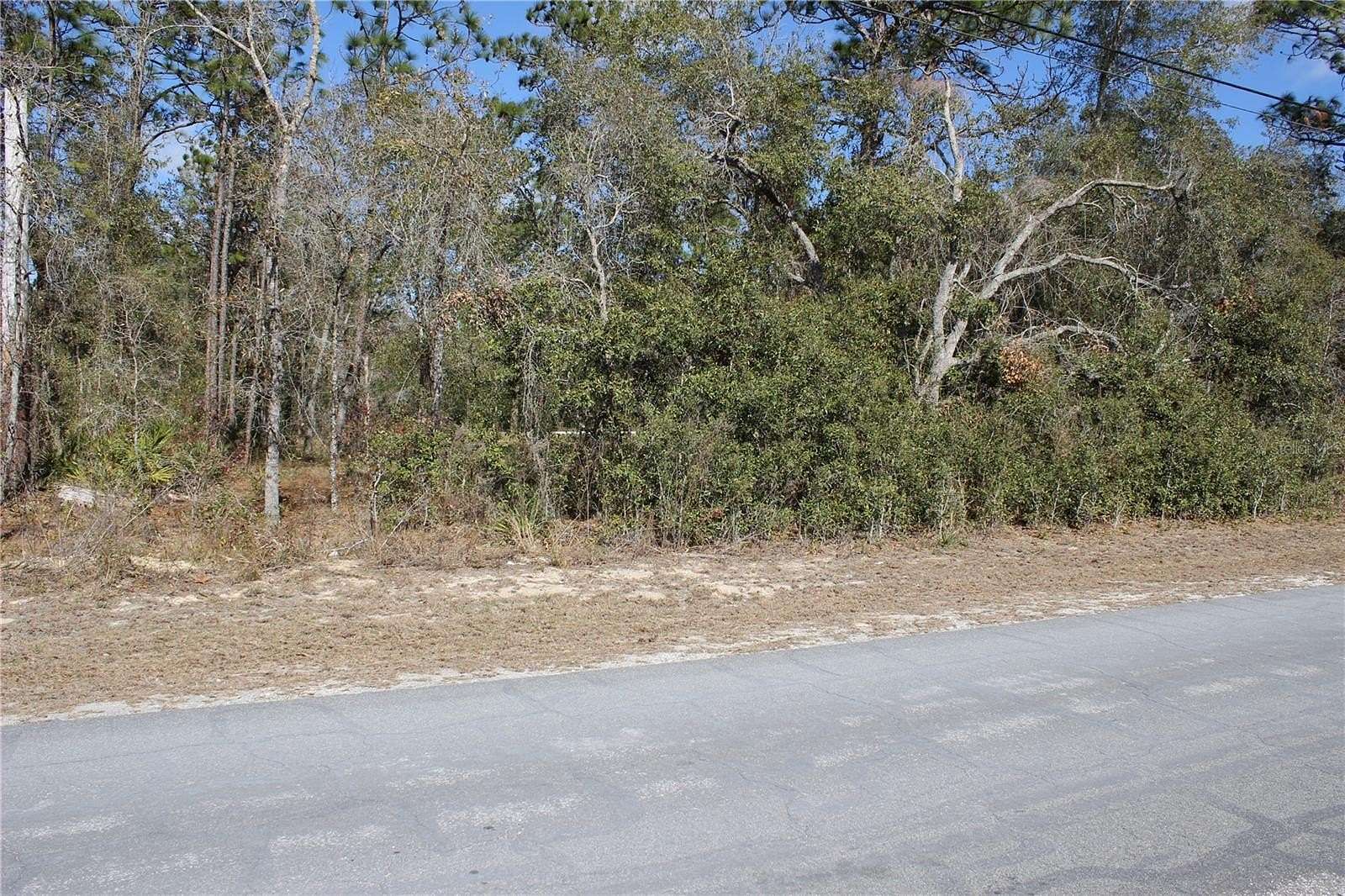 0.9 Acres of Residential Land for Sale in Weeki Wachee, Florida