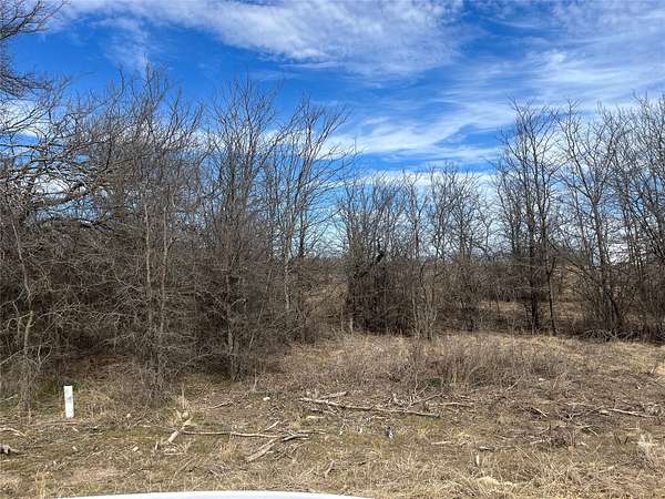 0.19 Acres of Residential Land for Sale in Bridgeport, Texas