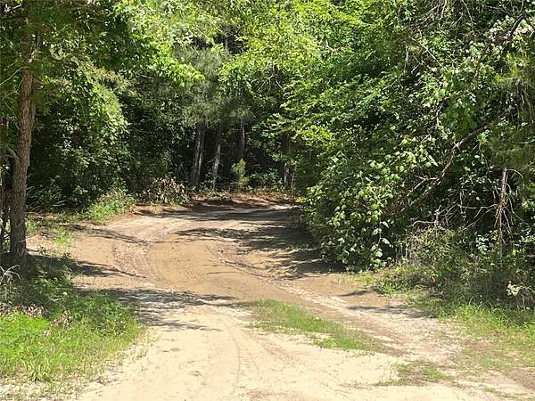 167 Acres of Recreational Land for Sale in Centerville, Texas