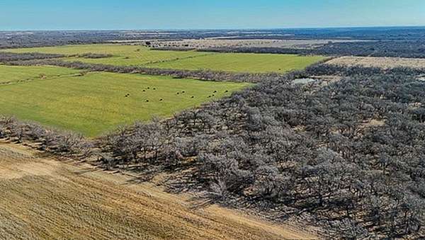 16 Acres of Recreational Land for Sale in Gorman, Texas