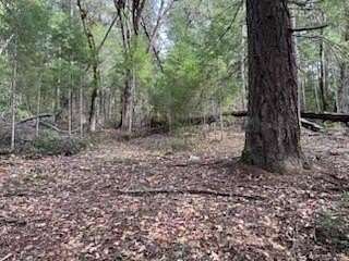 0.81 Acres of Residential Land for Sale in Salyer, California