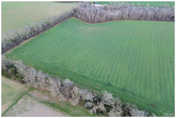 20.8 Acres of Agricultural & Residential Land for Sale in Jay, Florida