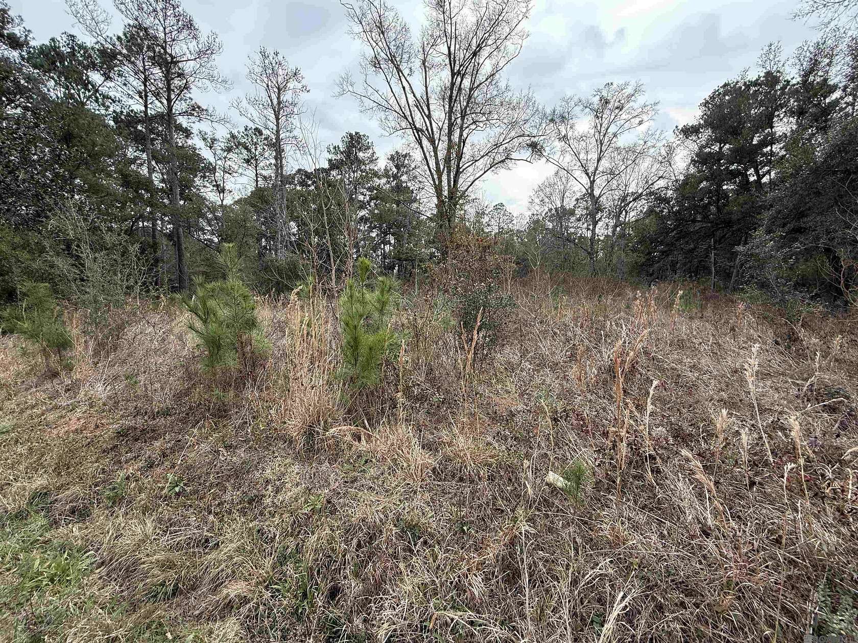 1.17 Acres of Residential Land for Sale in Lacombe, Louisiana