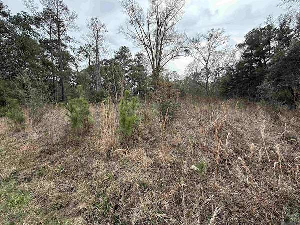 1.17 Acres of Residential Land for Sale in Lacombe, Louisiana