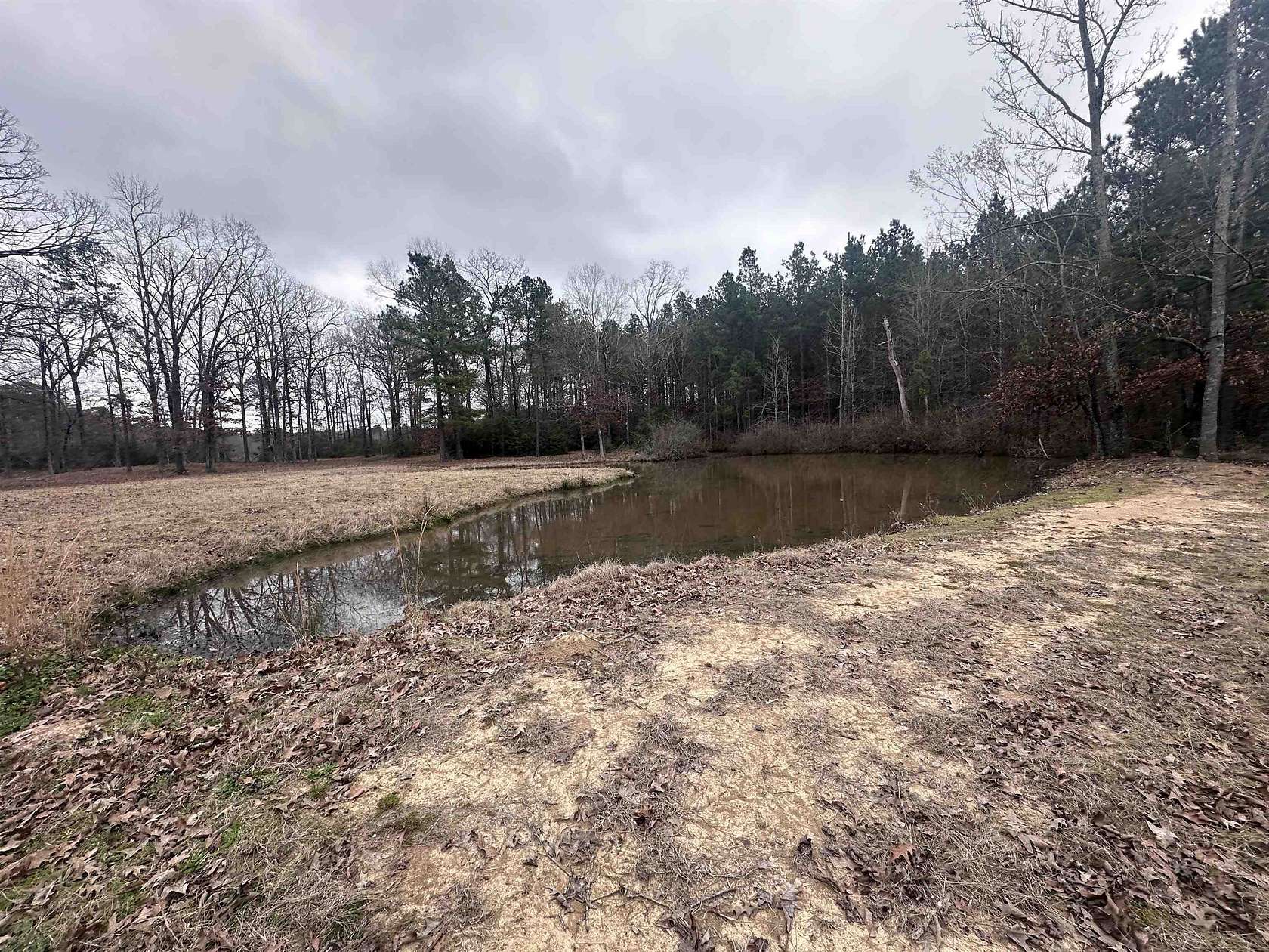 77.9 Acres of Recreational Land for Sale in Shelbyville, Texas