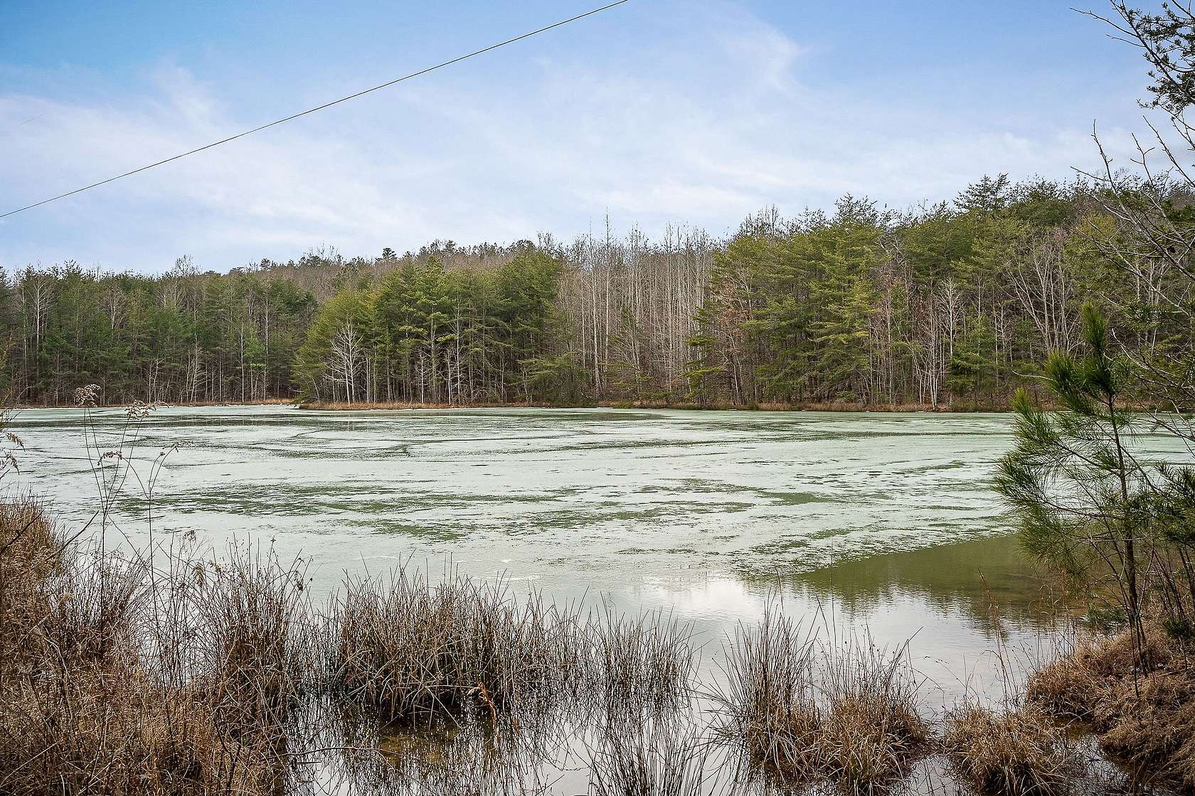 43 Acres of Land for Sale in Spencer, Tennessee