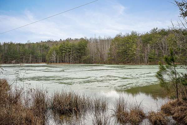43 Acres of Land for Sale in Spencer, Tennessee