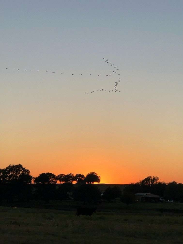 240 Acres of Land for Sale in Bennington, Oklahoma