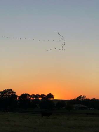 240 Acres of Land for Sale in Bennington, Oklahoma