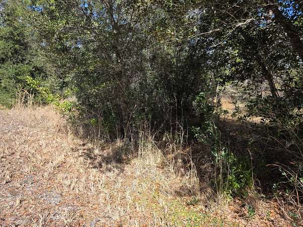 0.22 Acres of Residential Land for Sale in Lake Placid, Florida