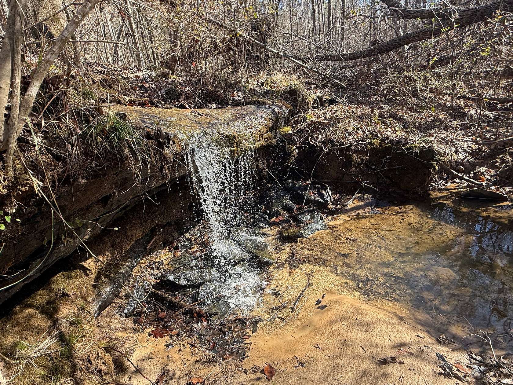 88 Acres of Recreational & Residential Land for Sale in Cullman, Alabama