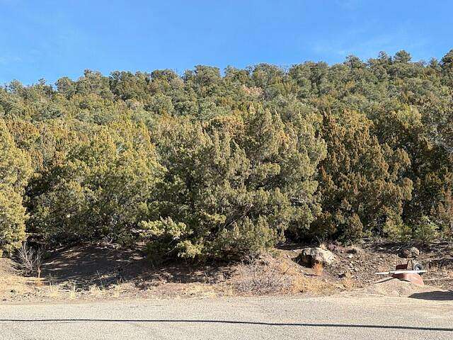 0.14 Acres of Land for Sale in Trinidad, Colorado