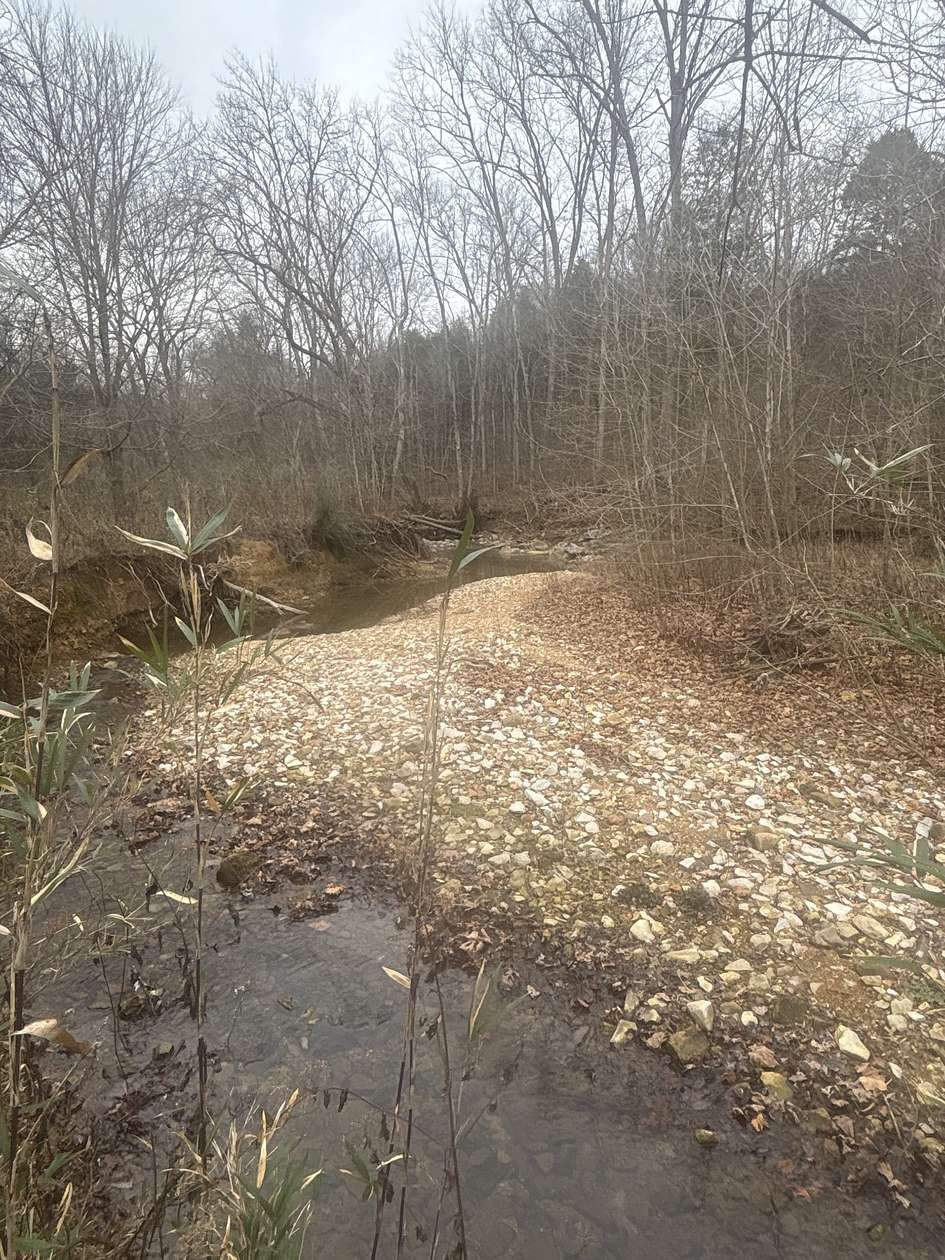 9.1 Acres of Residential Land for Sale in Clarksville, Tennessee