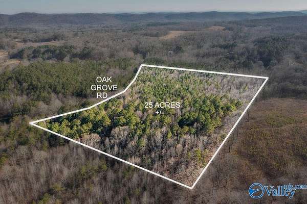 25 Acres of Recreational & Residential Land for Sale in Attalla, Alabama