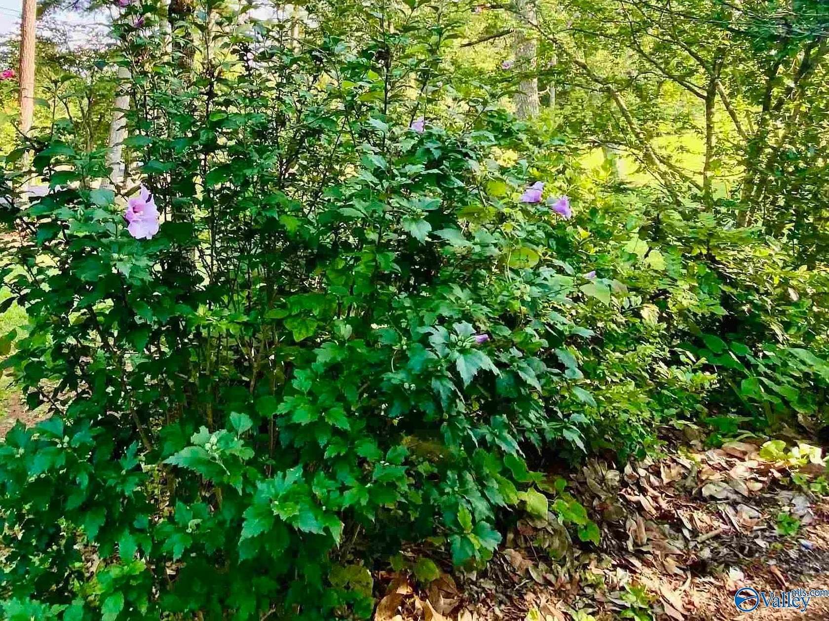 0.44 Acres of Land for Sale in Bessemer, Alabama