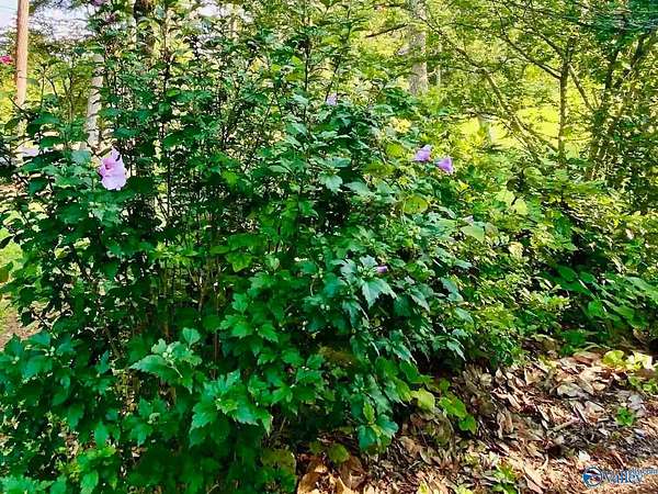 0.44 Acres of Land for Sale in Bessemer, Alabama