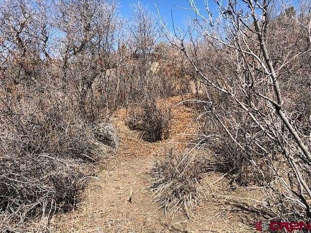 4.1 Acres of Residential Land for Sale in Pagosa Springs, Colorado