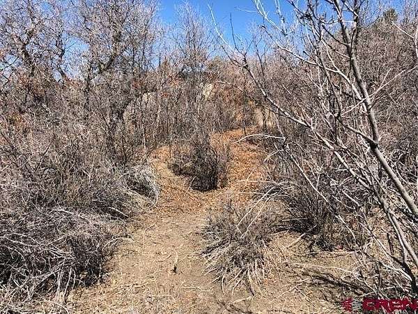 4.1 Acres of Land for Sale in Pagosa Springs, Colorado