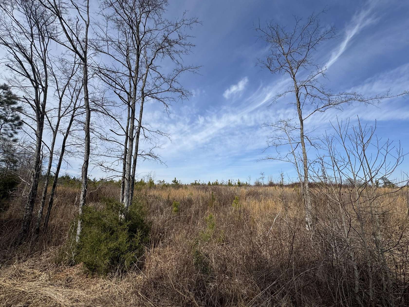 8 Acres of Land for Sale in Edgefield, South Carolina