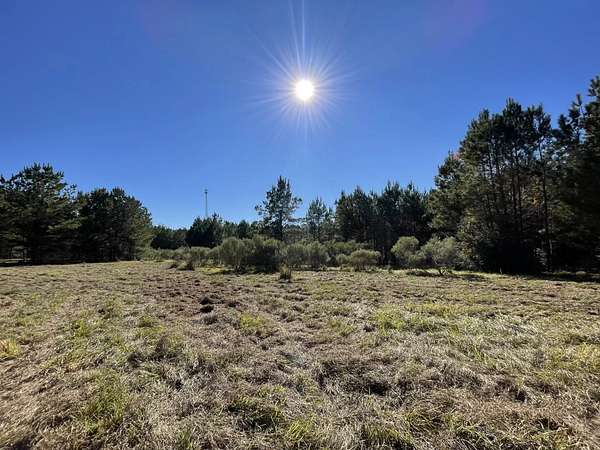 4.68 Acres of Residential Land for Sale in Livingston, Texas