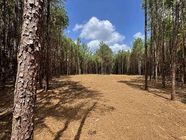 4.68 Acres of Residential Land for Sale in Livingston, Texas