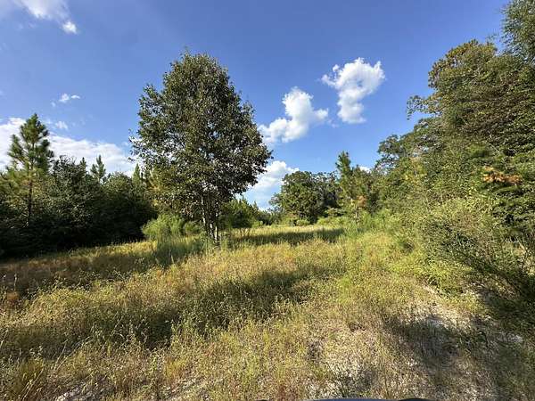 48.4 Acres of Land for Sale in Laurel Hill, Florida