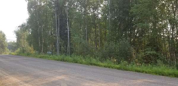 1 Acre of Residential Land for Sale in Fairbanks, Alaska