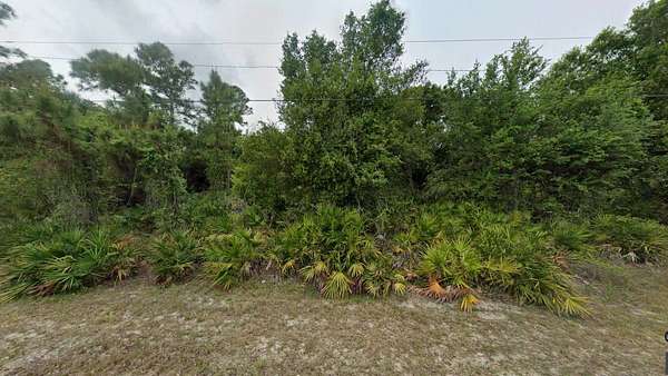 0.5 Acres of Residential Land for Sale in Lehigh Acres, Florida