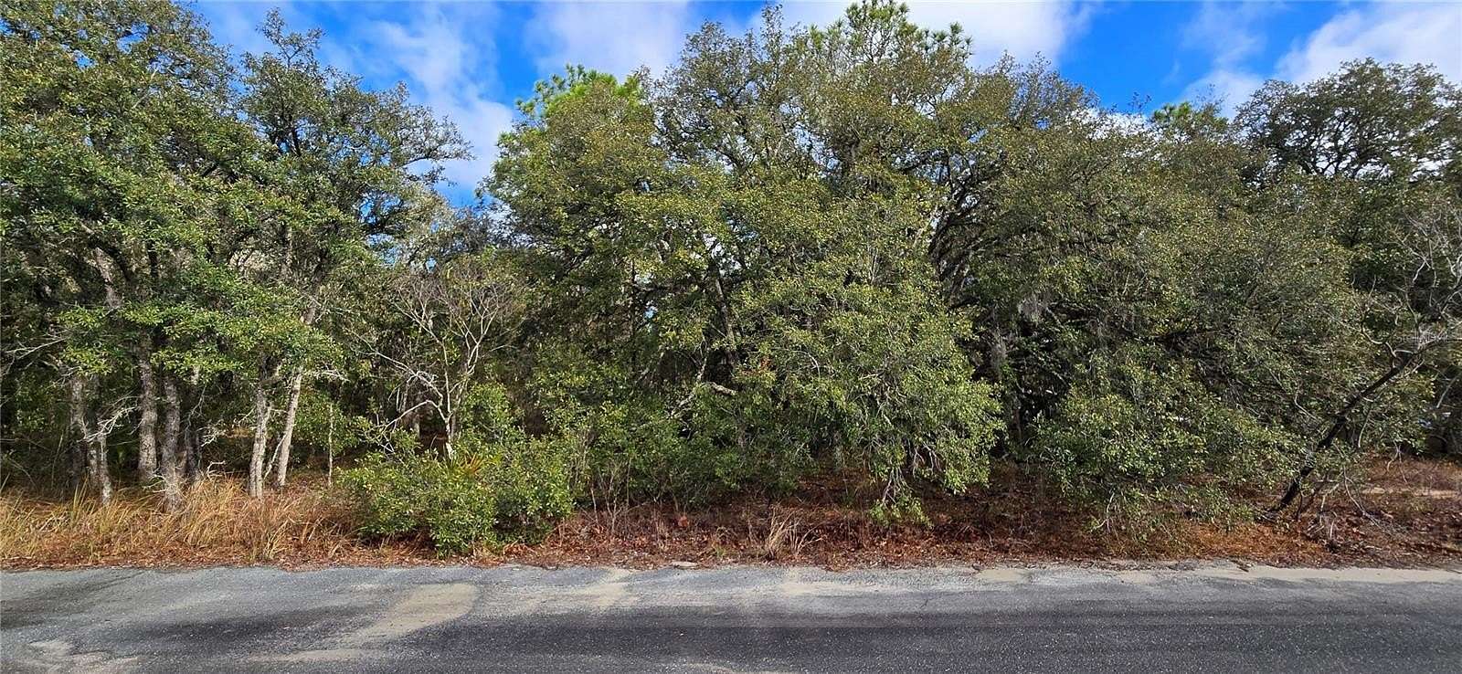 1.59 Acres of Residential Land for Sale in Homosassa, Florida