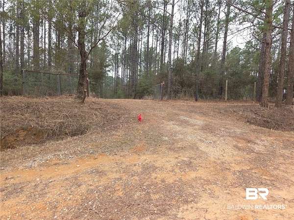 15 Acres of Recreational & Residential Land for Sale in Chunchula, Alabama