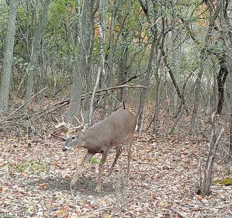 1.55 Acres of Residential Land for Sale in Ashtabula, Ohio
