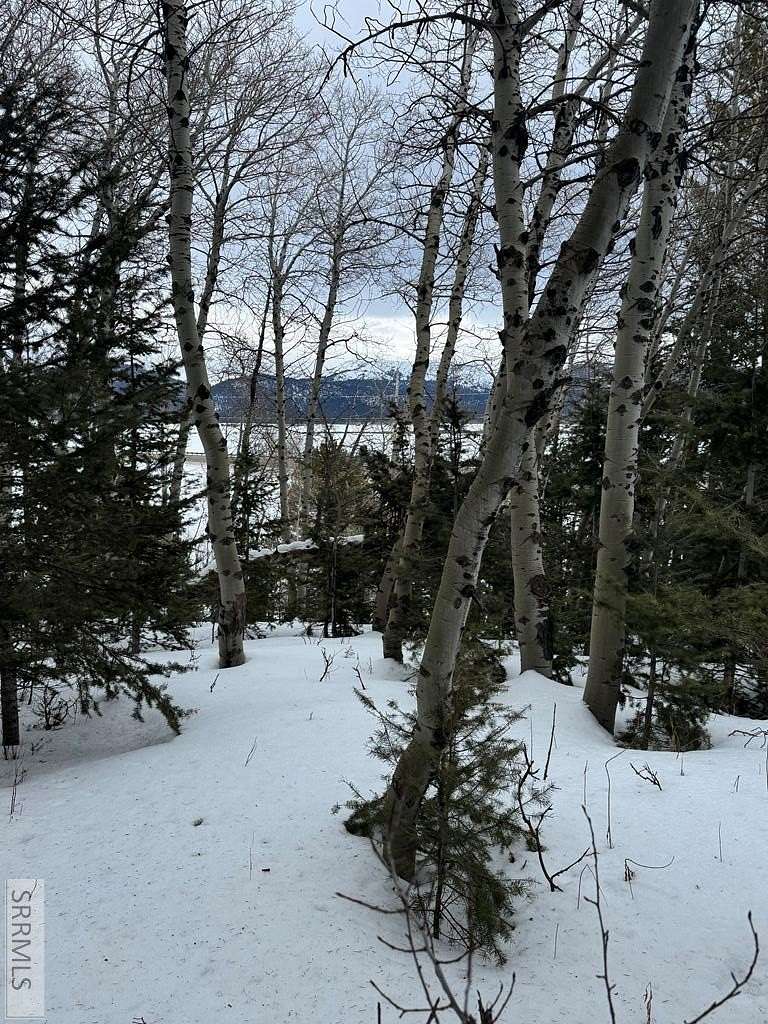 0.74 Acres of Residential Land for Sale in Island Park, Idaho