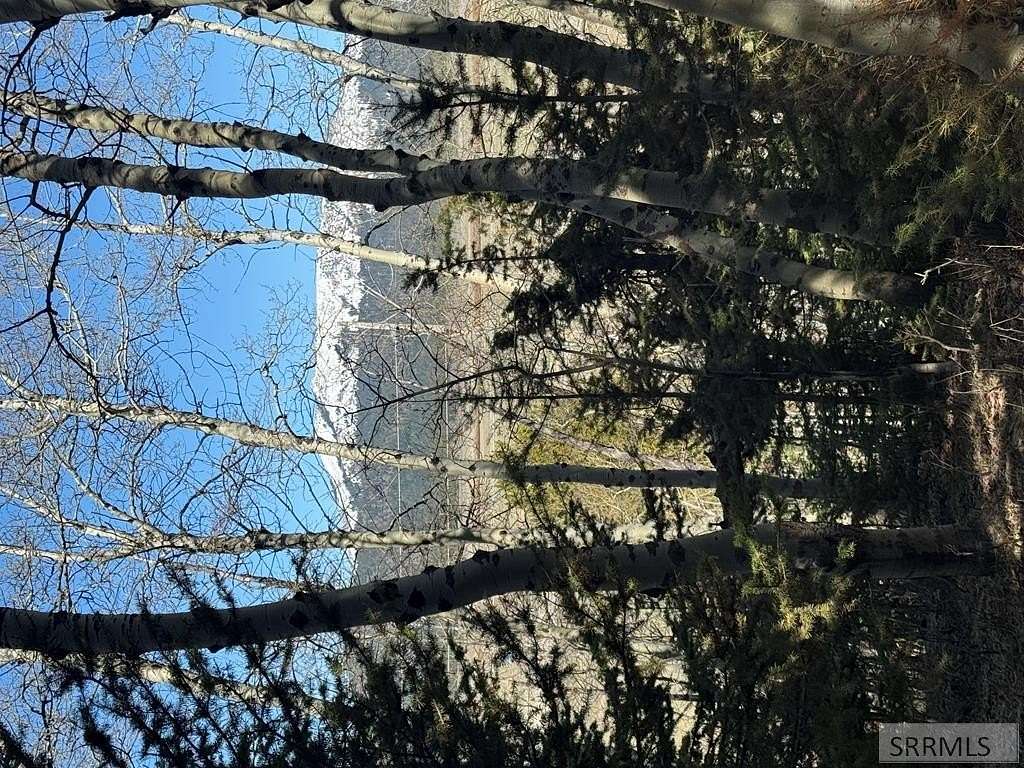 0.74 Acres of Residential Land for Sale in Island Park, Idaho