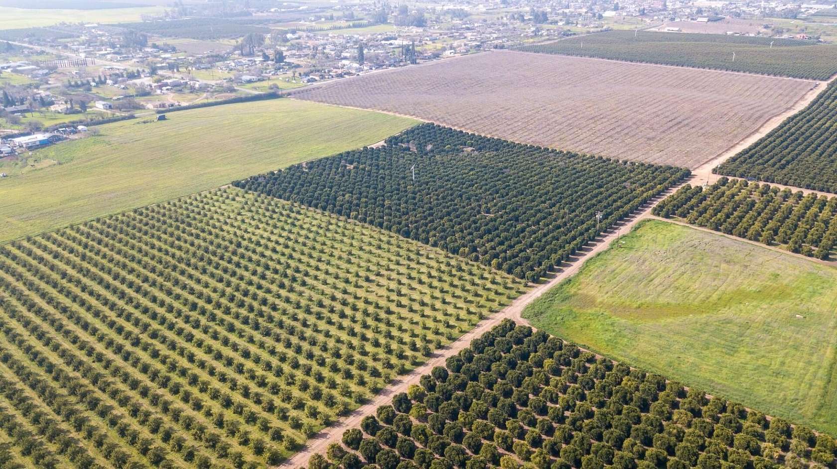 58.1 Acres of Land for Sale in Terra Bella, California