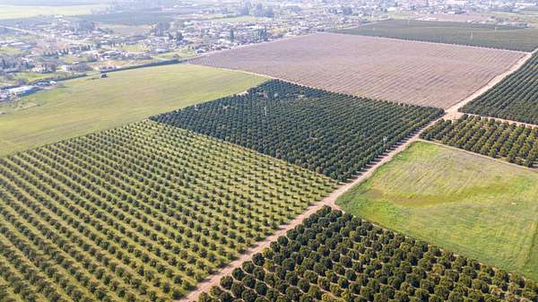 58.1 Acres of Land for Sale in Terra Bella, California