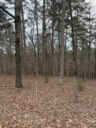 0.43 Acres of Residential Land for Sale in Hot Springs Village, Arkansas